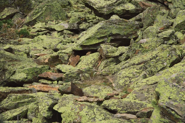 Big Pile Boulders Mossy Stones Mountains Dombay National Park Autumn — Stock Photo, Image