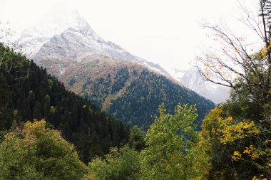Sonbahar mevsiminde Dombay kayak merkezinin tüm renkleri yeşil ormanlar ve karlı zirveler, Kafkaslar, Rusya