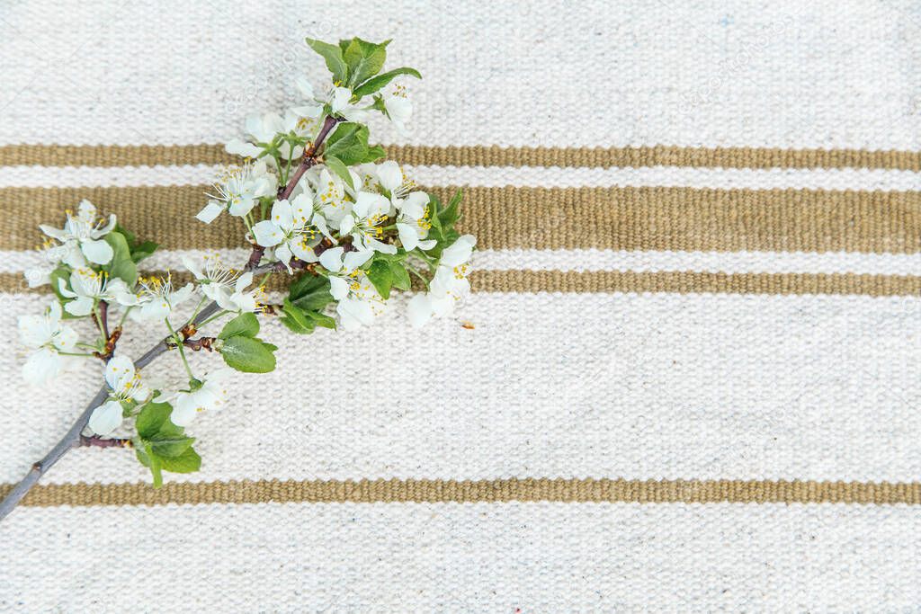 Spring blossom cherry branch on old rustic stripped vintage fabric background, village decoration concept