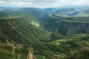 Yaz mevsiminde dağlarda yeşil taze çimenler, Kafkasya 'nın güzel manzarası, Elbrus milli parkı, Rusya