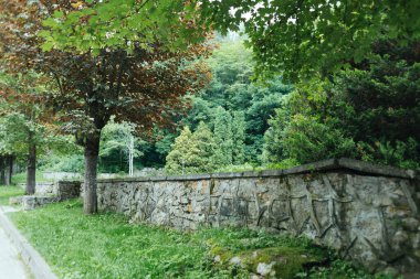 Kislovodsk Ulusal Parkı 'ndaki yeşil orman - Avrupa' nın en büyük parkı, yaz mevsimi, Mineral termal kaynaklar, Kafkaslar, Rusya