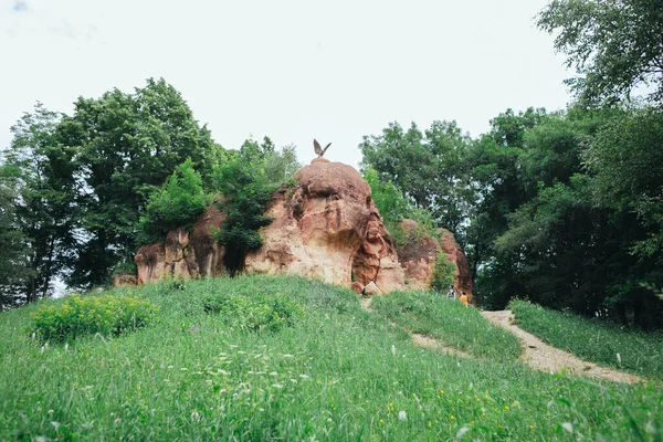 Зеленый Лес Красные Камни Кисловодском Национальном Парке Самый Большой Парк — стоковое фото