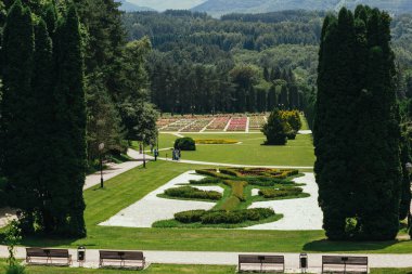 Güneşli bir günde Kislovodsk Ulusal Parkı 'nda güller vadisi. Avrupa' nın en büyük parkı, yaz mevsimi, mineral termal kaynaklar, Kafkaslar, Rusya.