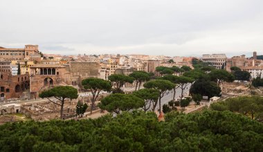 Roma, İtalya - 3 Ocak 2008: Roma Forumlarına Bakış