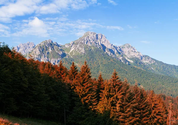 Alpská krajina na podzim, pestrá příroda a les — Stock fotografie