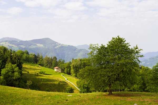 Krajobraz górski w okresie letnim, panorama alpejska — Zdjęcie stockowe