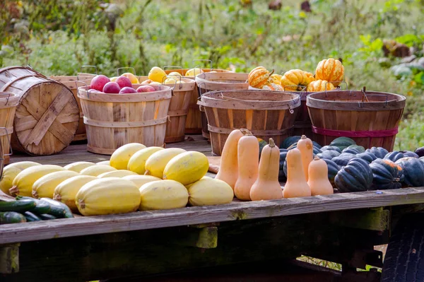 Cosecha de otoño para la venta en una granja local — Foto de Stock