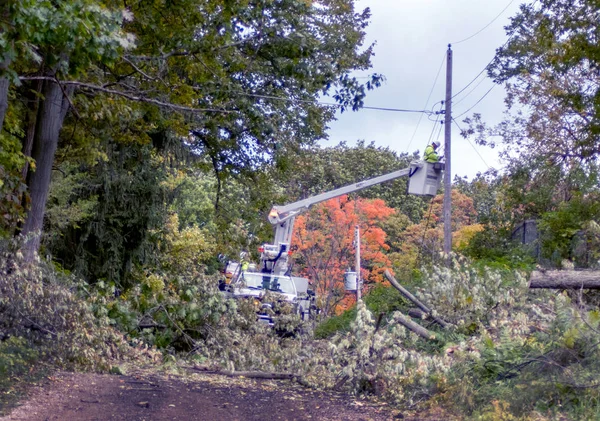 Downed tree damages electrical wires — Stock Photo, Image