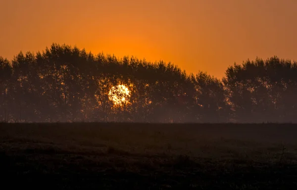 Stigande sol över en trädlinje i Michigan Usa — Stockfoto