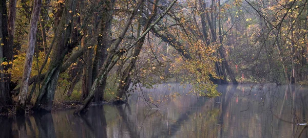 Rivier en bos op een herfstdag in Michigan — Stockfoto