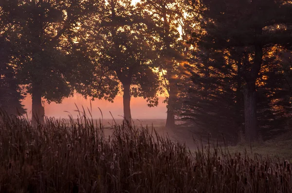 Zonsopkomst boven het platteland van Michigan in de Usa — Stockfoto