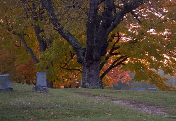 Grafstenen aan de rand van een kerkhof in de herfst — Stockfoto