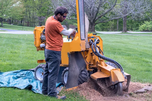 Worker operating a stump grinder Stock Image