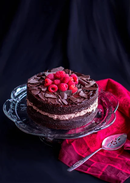 Indulgent chocolate cake with raspberries — Stock Photo, Image