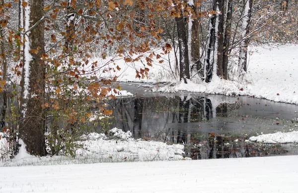 Scena invernale con un laghetto ghiacciato e nuova neve caduta — Foto Stock