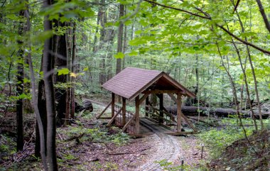 Küçük örtülü köprü ve tren rayları