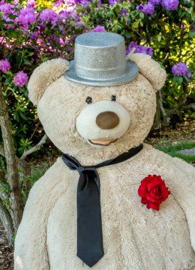 damat oyuncak ayı portre