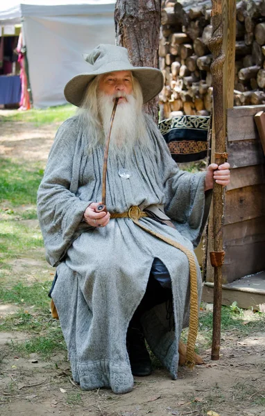 Sihirbaz Merlin elinde piposuyla — Stok fotoğraf
