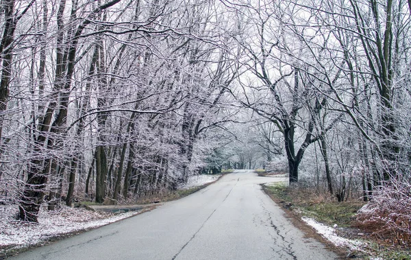 Árboles de invierno escarchados en Indiana EE.UU. —  Fotos de Stock