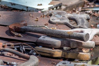 Eski aletler açık havada bir yaprak kaplı masada unutulur.