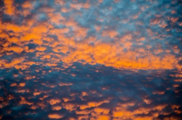 Himmel Full Små Moln Lyser Från Färgstark Nedgående Sol Detta — Stockfoto