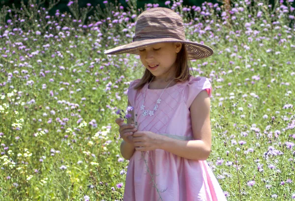 Young Girl Pretty Pink She Stands Field Pink White Flowers — Stock Photo, Image