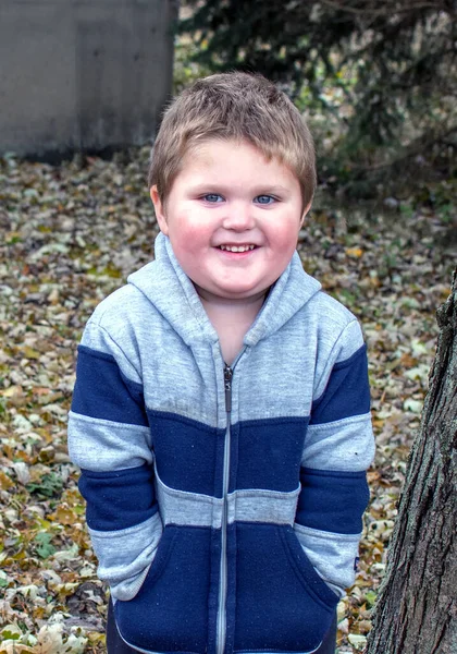 Portrait Cute Little Boy Outdoors — Stock Photo, Image