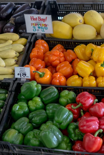 カラフルな野菜は健康的で明るいこのミシガン州のアメリカの農場市場 — ストック写真