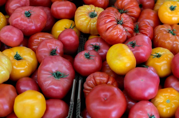 密歇根州一个农贸市场出售的一堆堆新鲜的传奇式西红柿 — 图库照片