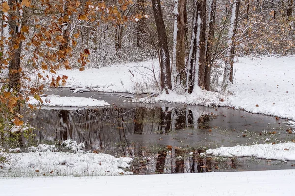 Drzewa Rzucają Ładną Refleksję Lodowaty Staw Opadach Śniegu Michigan Usa — Zdjęcie stockowe