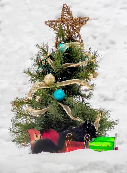 Fluffy Black Squirrel Examines Cute Holiday Display Decorated Christmas Tree — Stock Photo, Image