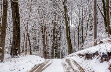 Michigan 'da ilkbahar erken bir kar yağışı ABD' de gezmek için büyülü bir manzara yaratır.