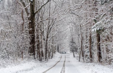 Michigan 'da ilkbahar karının içinden geçen lastik izleri bu güzel manzarada seyahat ederken kaygan seyahat riskini göze alıyor.