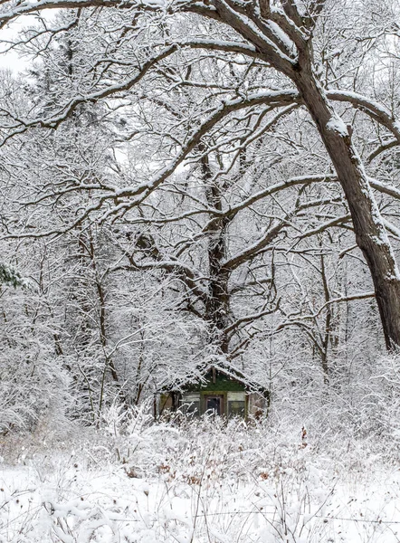 ミシガン州の美しい雪の森の中に小さなキャビンがあります — ストック写真