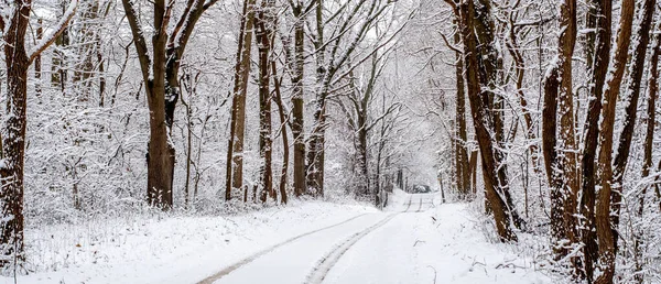 Una Nieve Primaveral Michigan Usa Hace Que Este Viaje Parezca —  Fotos de Stock