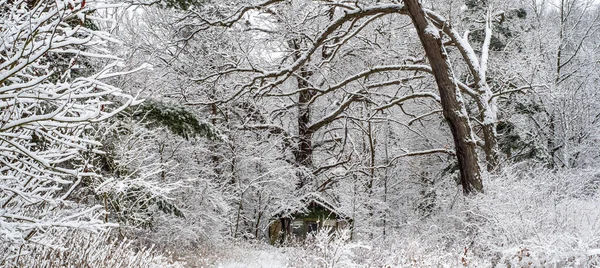 Una Cabaña Diminuta Hermosa Que Bosque Que Rodea Está Helado —  Fotos de Stock