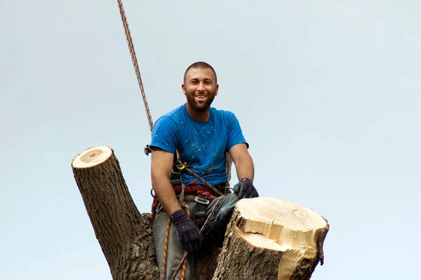 Молодой Человек Позирует Высоко Дереве Которое Снимает Время Работы — стоковое фото