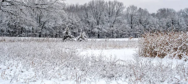 ミシガン州のかなりのパノラマ米国は早春の雪の嵐の後に魔法のように見えます — ストック写真