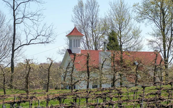 Manzaralı Eski Kilise Bir Meyve Bahçesinin Kenarında Oturur Bahar Zamanı — Stok fotoğraf