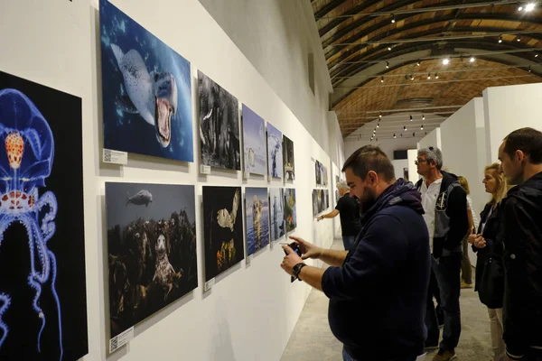 Man Besucht Die Siena Awards Fotoausstellung Siena Der Toskana Italien — Stockfoto