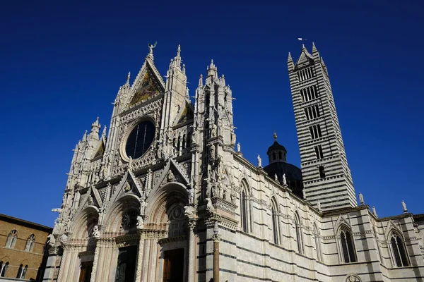 Pohled Exteriéru Katedrály Siena Italské Sieně Října 2019 — Stock fotografie