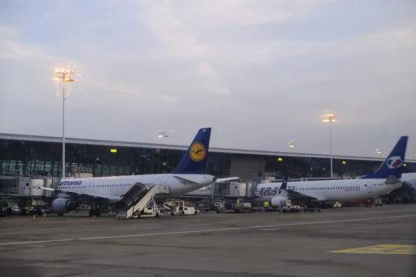 Avião Empresa Lufthansa Airlines Fica Asfalto Bruxelas Bélgica Outubro 2019 — Fotografia de Stock