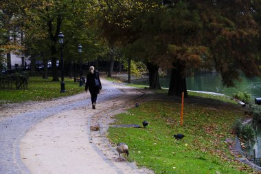 Brüksel, Belçika 'daki Leopold Parkı