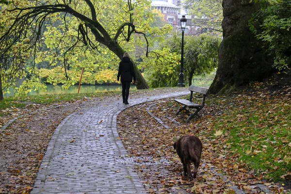 Brüksel, Belçika 'daki Leopold Parkı