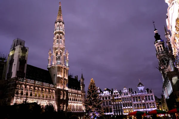 Světelná Show Grand Place Obrovský Vánoční Stromek Davem Lidí Kteří — Stock fotografie