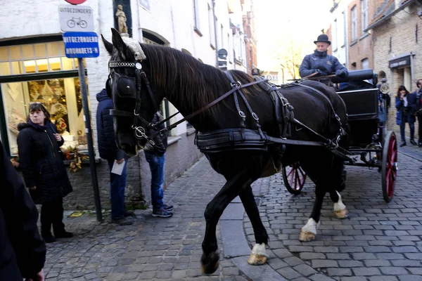 Horse Carriage Waiting Tour Bruges Belgium Nov 2019 — Stock Photo, Image