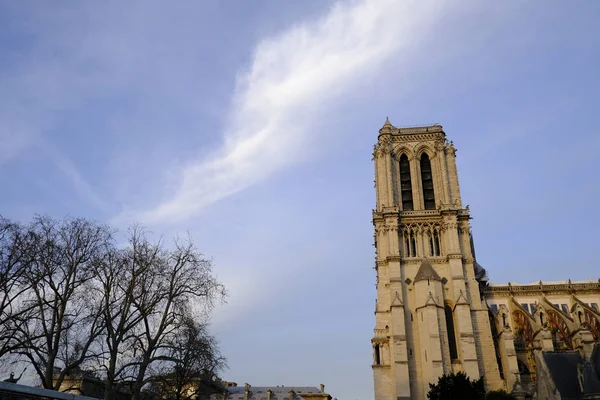 Paris França Dezembro 2019 Uma Vista Catedral Notre Dame Paris — Fotografia de Stock