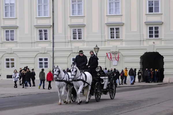 Pferdekutsche Wartet Auf Eine Tour Der Stadt Wien Österreich Dezember — Stockfoto