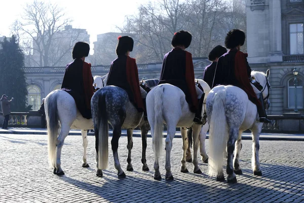 Bruselas Bélgica Febrero 2020 Guardias Reales Caballos Durante Una Actuación — Foto de Stock