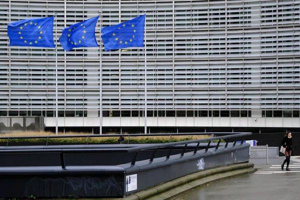 Bruselas Bélgica Febrero 2019 Banderas Europeas Ondean Viento Fuera Sede — Foto de Stock